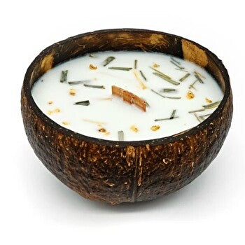 Tropikalia Candle In Coconut - Lemongrass & Ginger