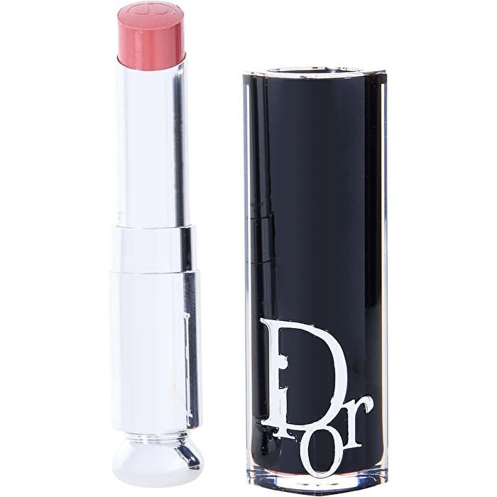 Dior Addict Shine Lipstick - Refillable #422 Rose Des Vents 3.2g