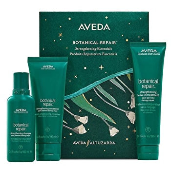 Aveda Botanical Repair Set