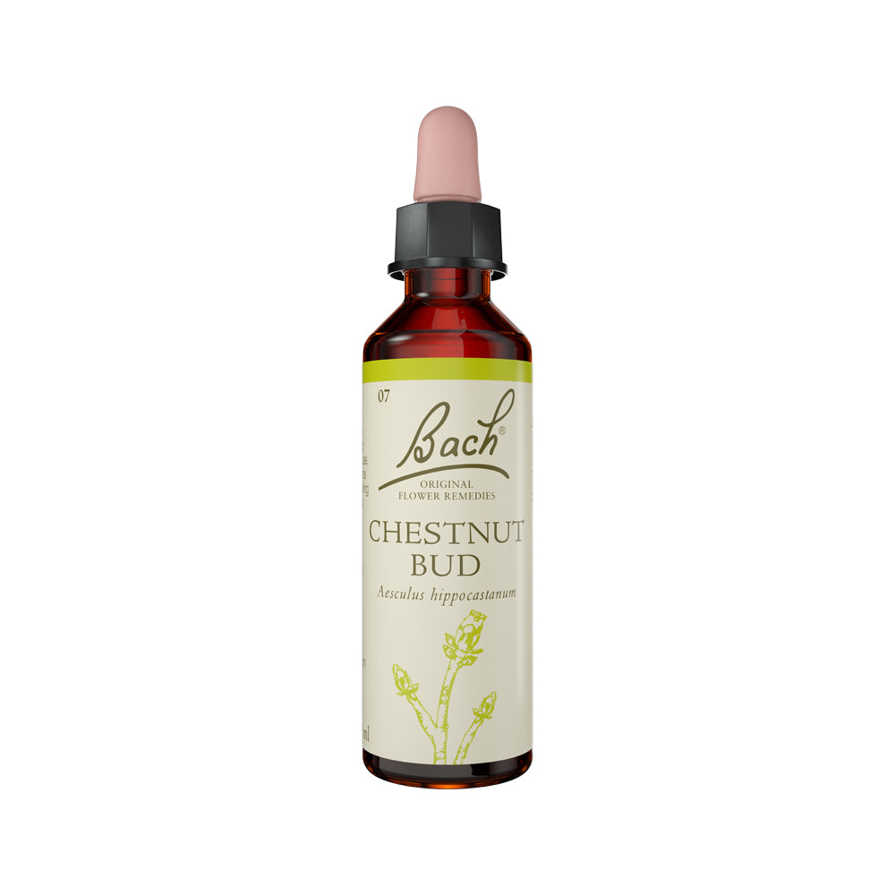 Bach Flower Remedies Chestnut Bud 20ml