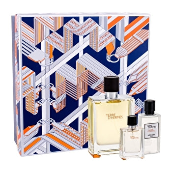 Hermes Terre D´hermes Gift Set Eau De Toilette 100ml After Shave Terre D´hermes 40ml And Miniature Terre D´hermes Eau De Toilette 12 5ml 100ml