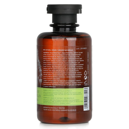 Apivita Tonic Mountain Tea Shower Gel 250ml