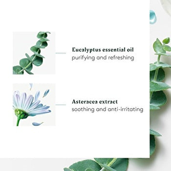 Rene Furterer Astera Head Spa Soothing Concentrate Freshness & Purity 50ml/1.6oz