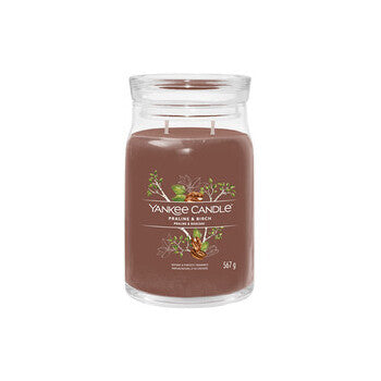 Yankee Candle Praline & Birch Signature Candle (praline And Birch) 368.0g
