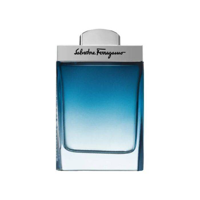 Salvatore Ferragamo Subtil Pour Homme Eau De Toilette 100ml